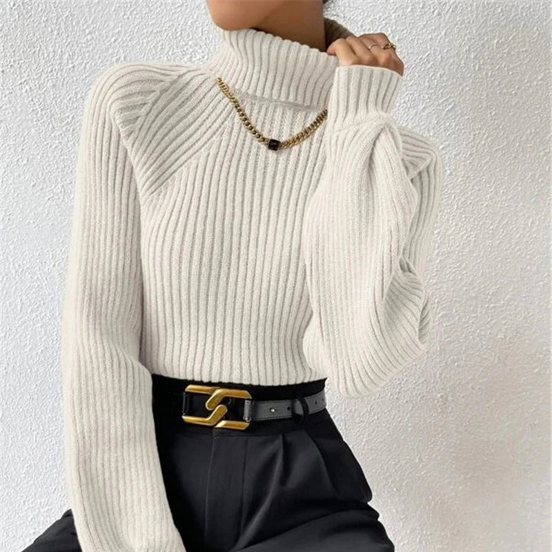 Soft Turtleneck Knit Pullover